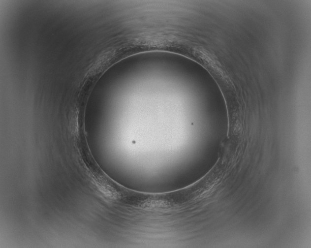 X0000076370685200610061059