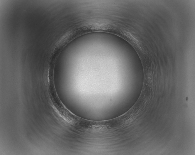 X0000076370686200610061059