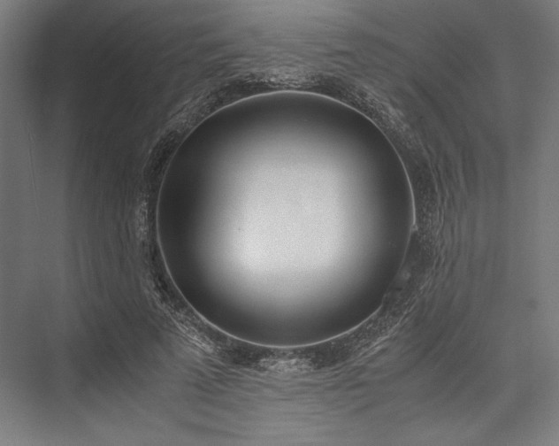 X0000076370689200610061059
