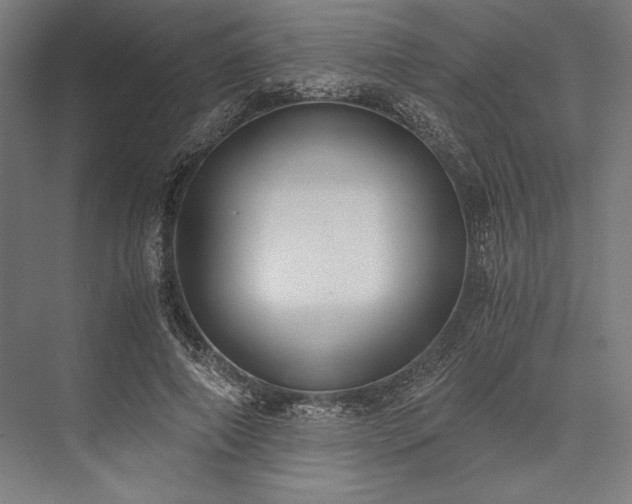 X0000076370690200610061059