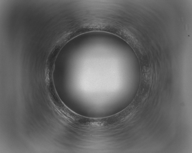 X0000076370692200610061059