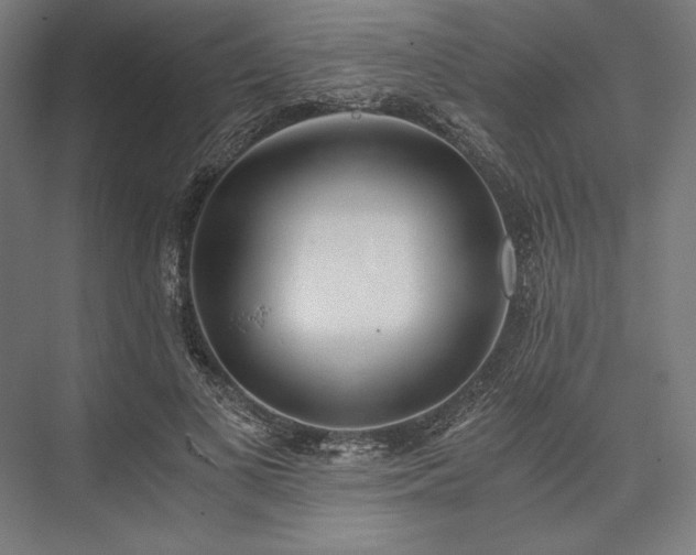 X0000076370693200610061059