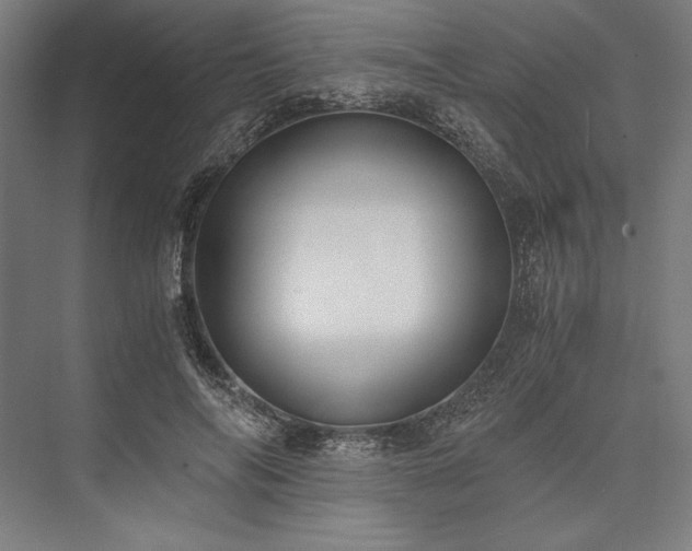 X0000076370694200610061059