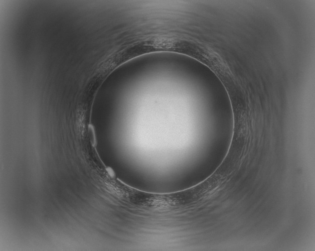 X0000076370697200610061059