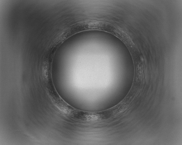 X0000076370698200610061059
