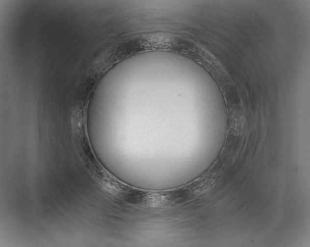 X0000076370701200610061059