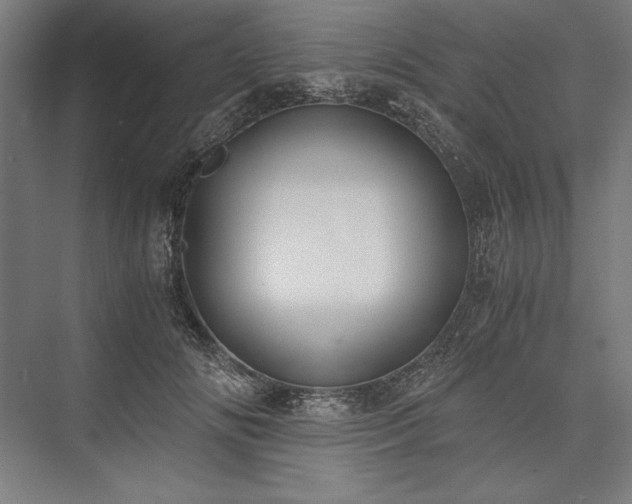 X0000076370702200610061059