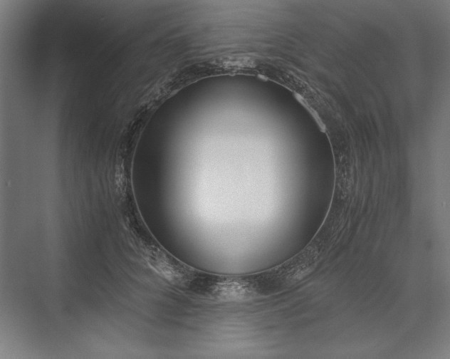 X0000076370704200610061058