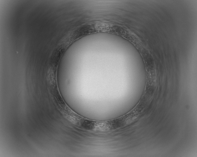X0000076370705200610061058