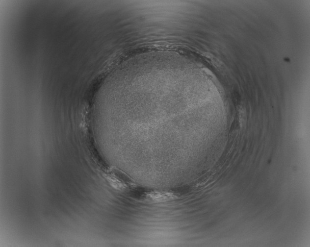 X0000076370712200610061058