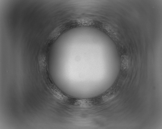 X0000076370713200610061058