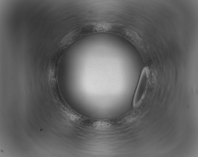 X0000076370714200610061058