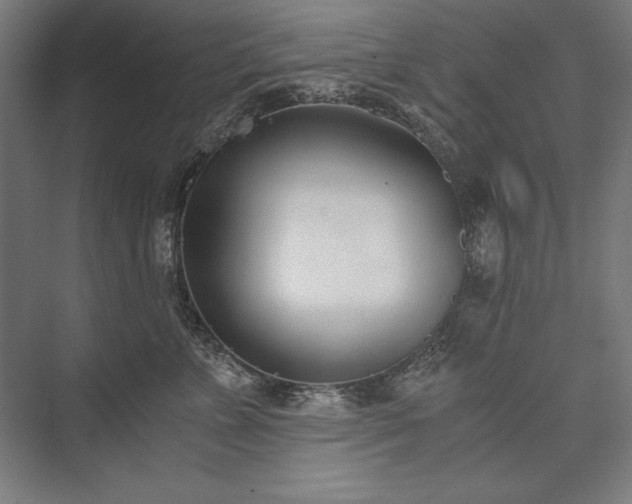 X0000076370715200610061058