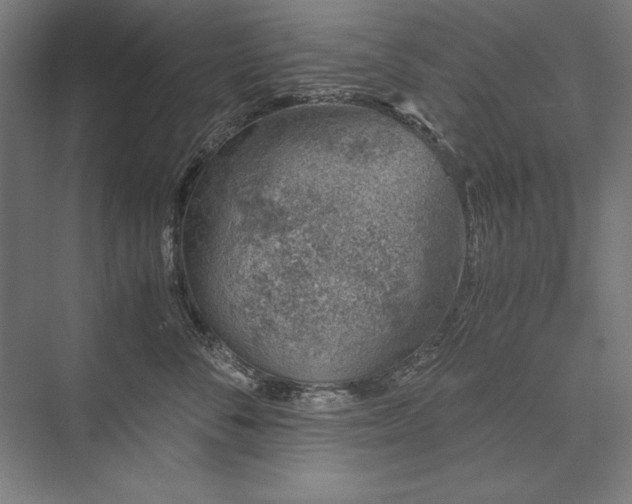 X0000076370716200610061058