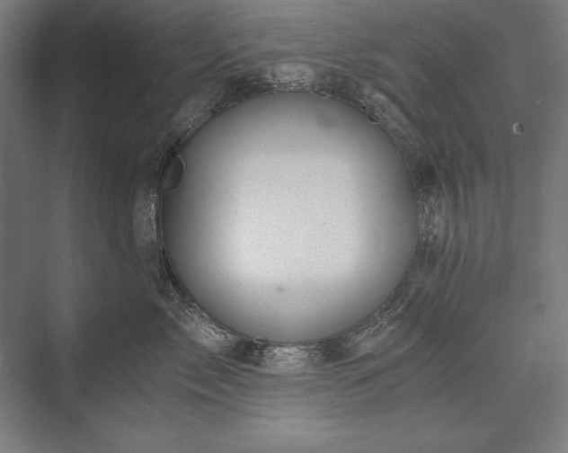 X0000076370717200610061058