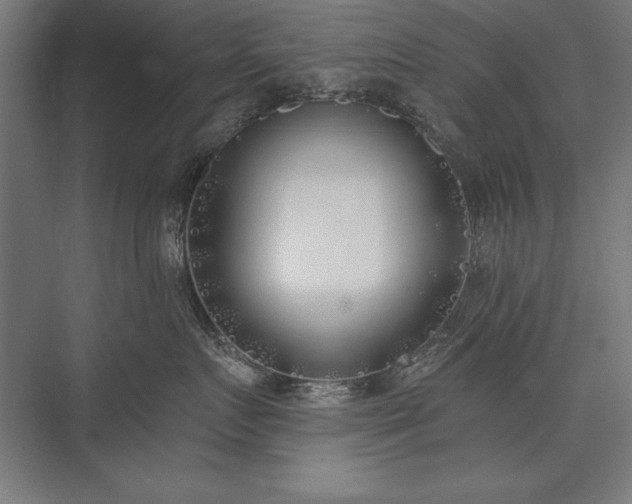 X0000076370719200610061058