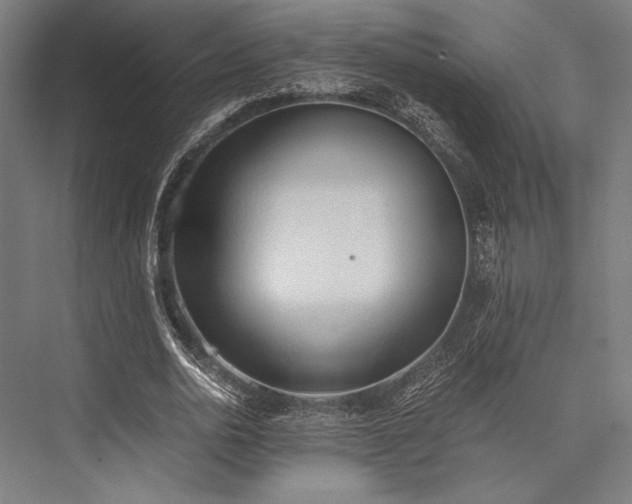 X0000076370726200610061057