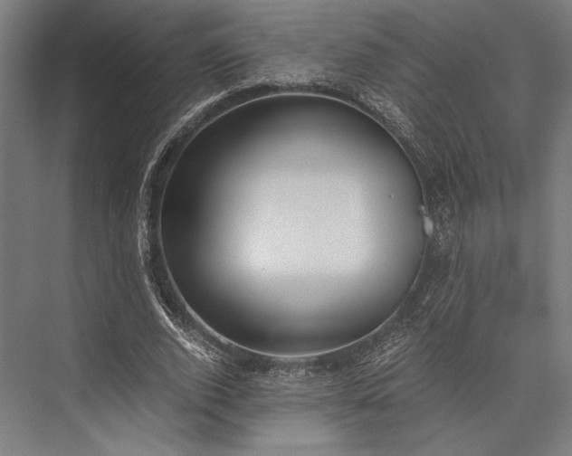 X0000076370728200610061057