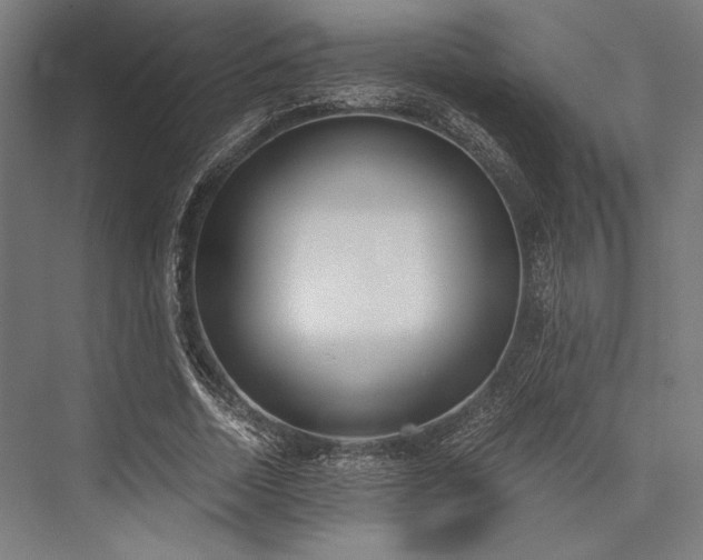 X0000076370730200610061058
