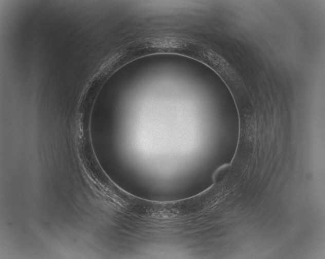 X0000076370731200610061058
