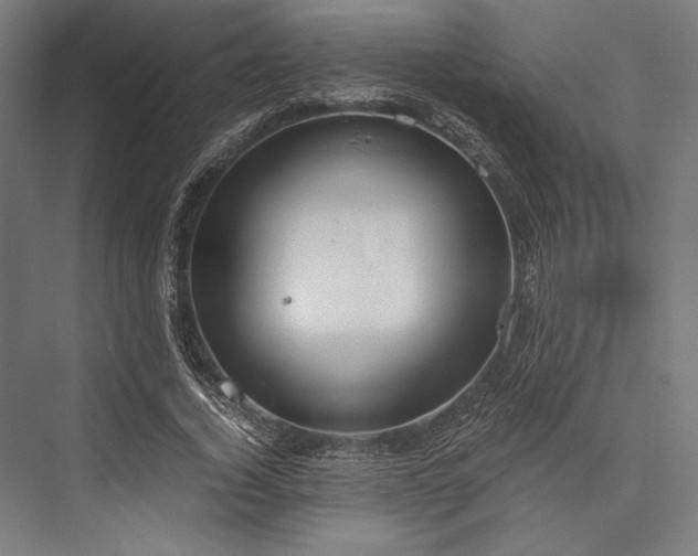 X0000076370732200610061058