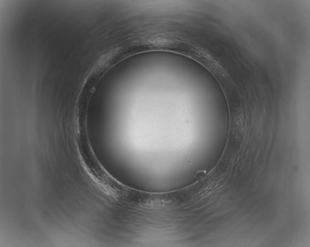 X0000076370734200610061058