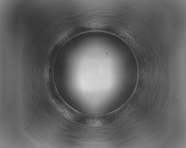 X0000076370735200610061058