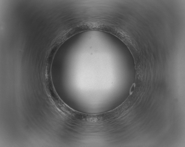 X0000076370740200610061058