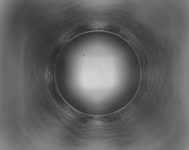 X0000076370743200610061058