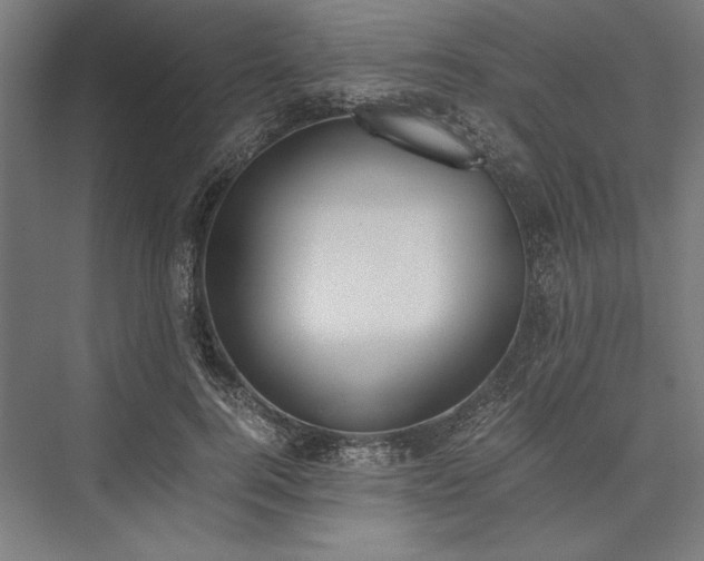X0000076370744200610061058