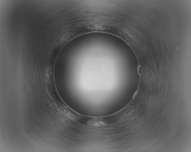 X0000076370747200610061058