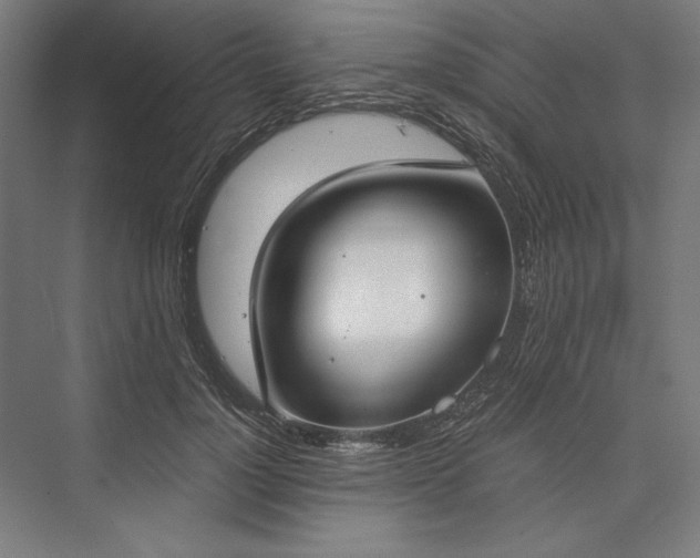 X0000076370748200610061058