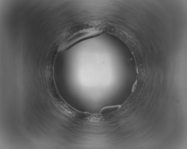 X0000076370756200610061058