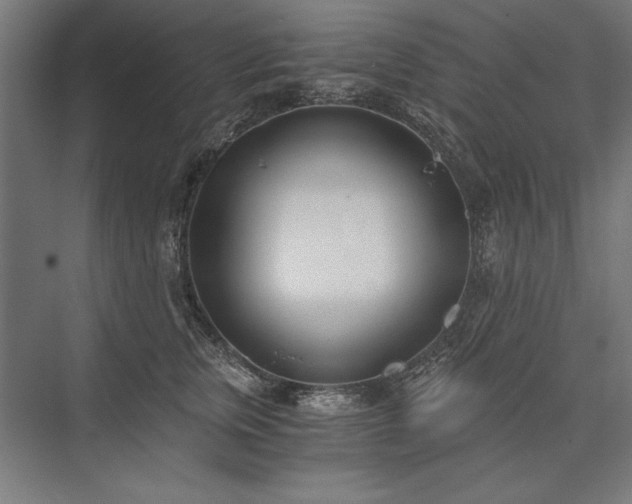X0000076370759200610061058