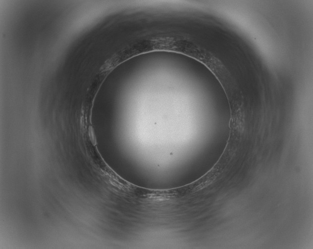 X0000076370763200610061058