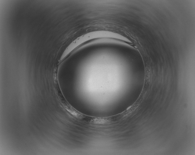 X0000076370766200610061058