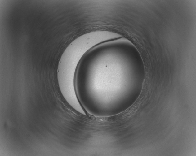 X0000076370768200610061058