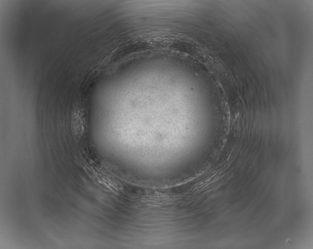 X0000076370772200610061057