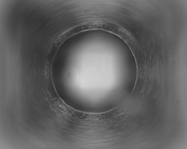 X0000076370773200610061057