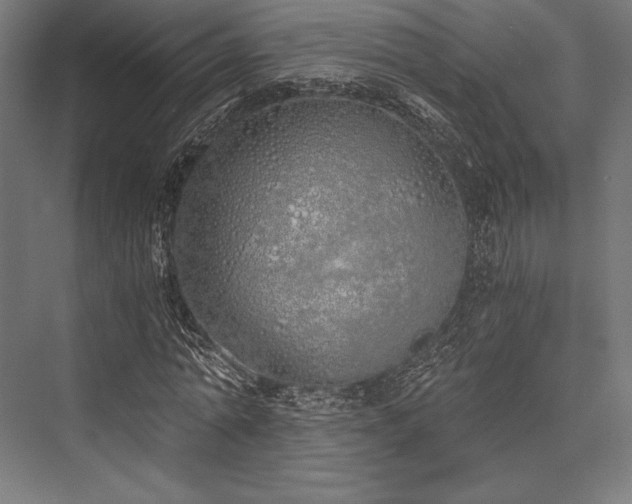 X0000076370774200610061057