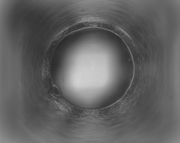 X0000076370775200610061057