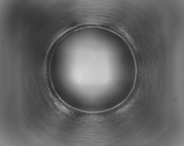 X0000076370779200610061057