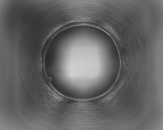 X0000076370781200610061057