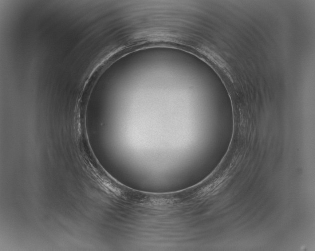 X0000076370782200610061057