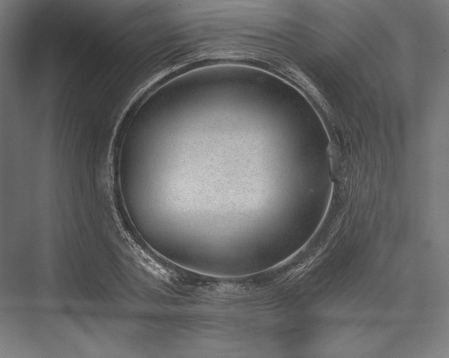 X0000076370787200610061057