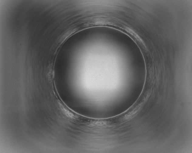 X0000076370801200610061057