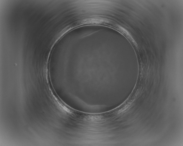 X0000076370802200610061057