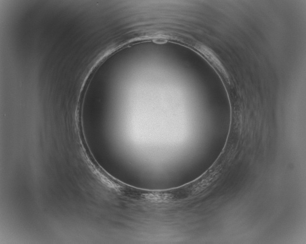 X0000076370805200610061057