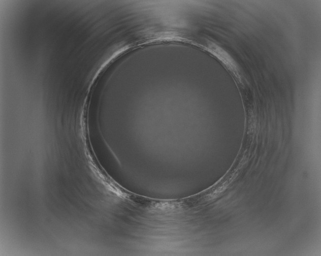 X0000076370806200610061057