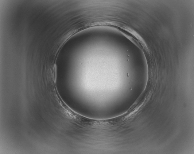 X0000076370809200610061057